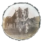Personalisierte Baumscheibe mit gravur von Hund und Pferd klein