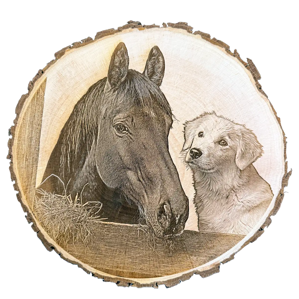 Foto von Baumscheibengravur mit Hund und Katze