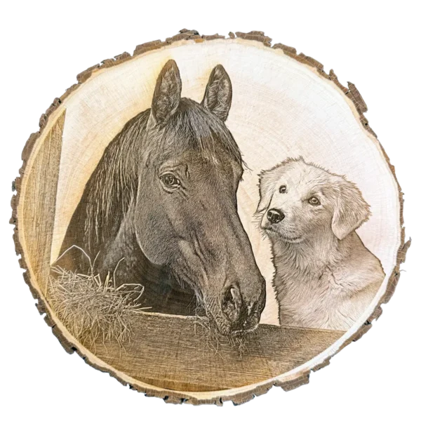 Foto von Baumscheibengravur mit Hund und Katze