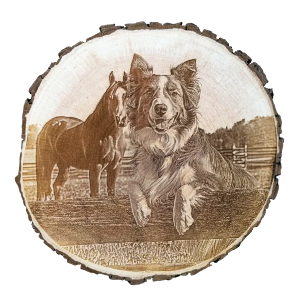 Personalisierte Baumscheibe mit gravur von Hund und Pferd auf Weide