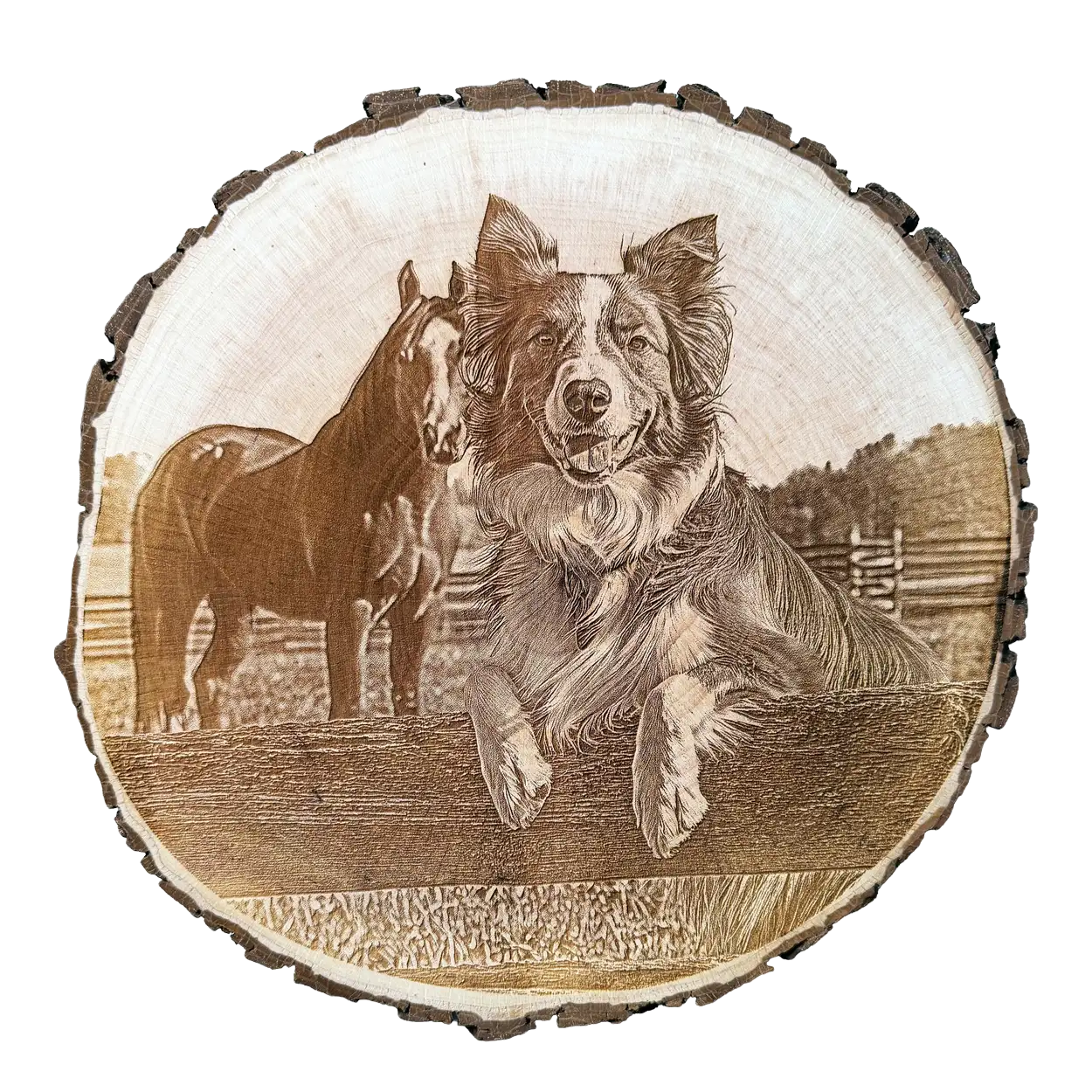 Personalisierte Baumscheibe mit gravur von Hund und Pferd auf Weide