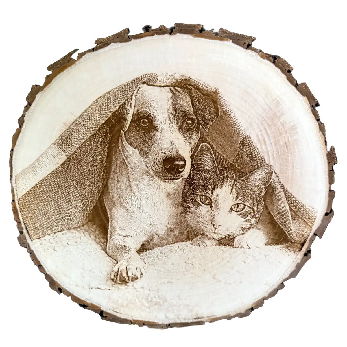 Baumscheibe mit Gravur hund und Katze unter teppich