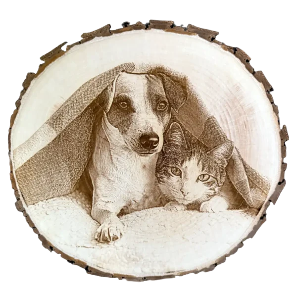 Baumscheibe mit Gravur hund und Katze unter teppich