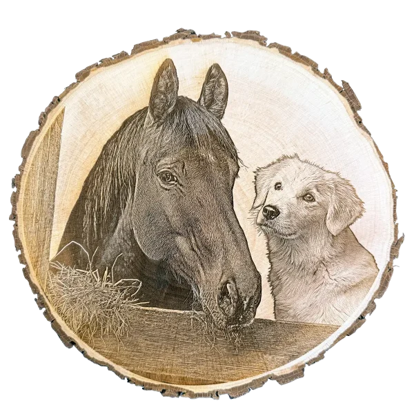 Foto von Baumscheibengravur mit Hund und Katze