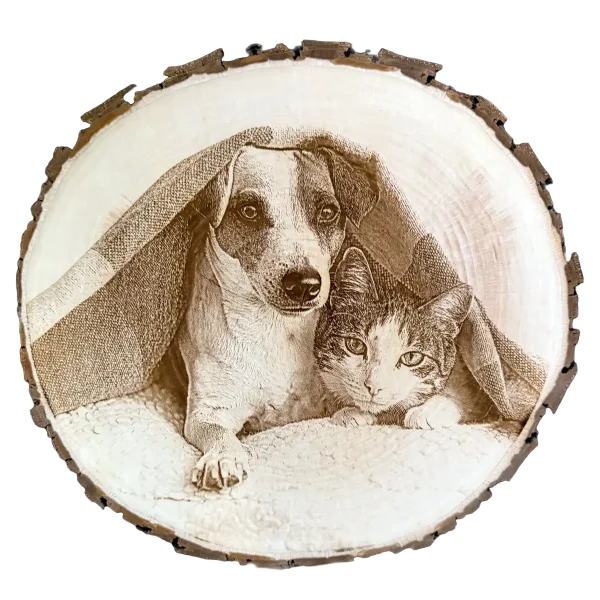 Baumscheibe mit Gravur hund und Katze unter teppich